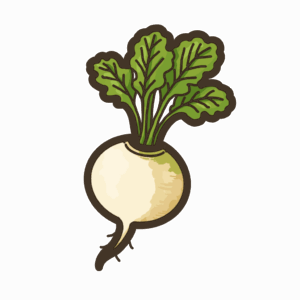 かぶの透過イラスト