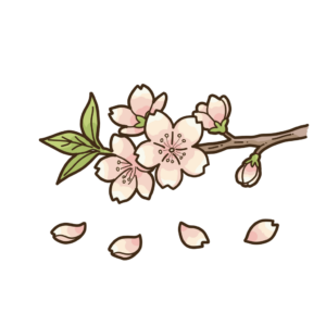 桜の木の枝の透過イラスト